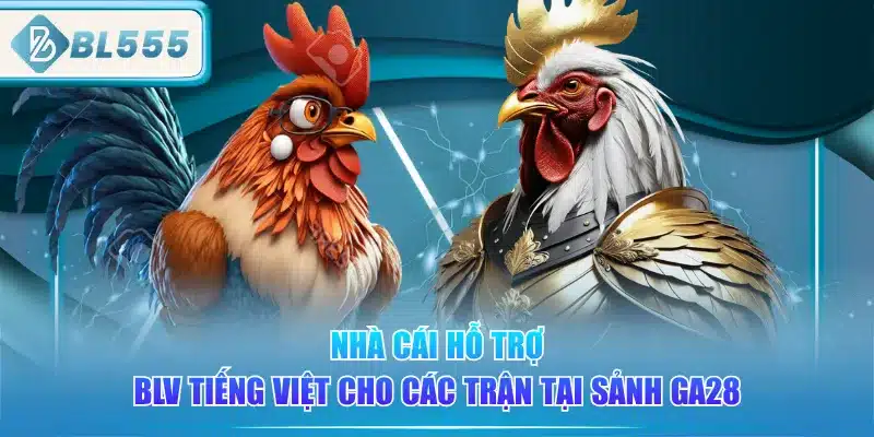 nha-cai-ho-tro-blv-tieng-viet-cho-cac-tran-tai-sanh-ga28