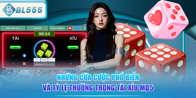 nhung-cua-cuoc-pho-bien-va-ty-le-thuong-trong-tai-xiu-md5